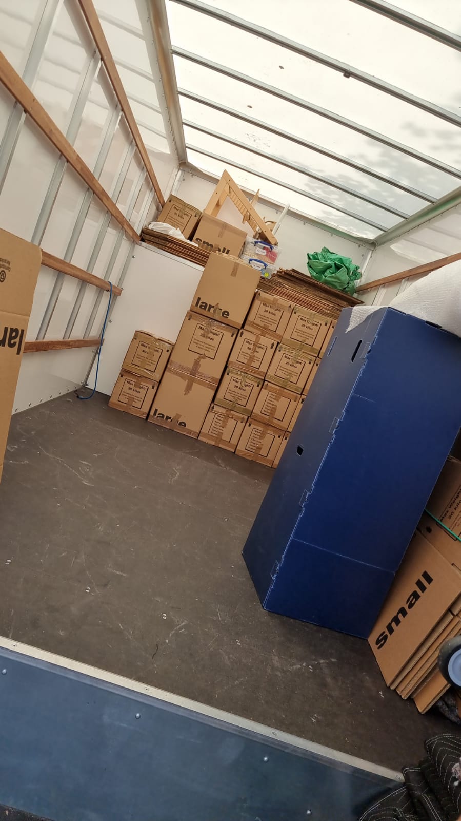 Mario Moving Mario Moving